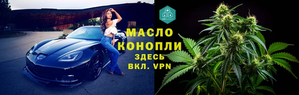СК Дмитровск