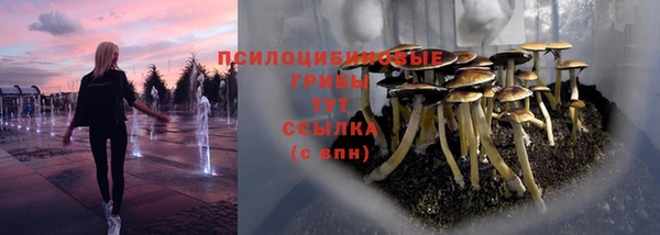 Альфа ПВП Дмитров