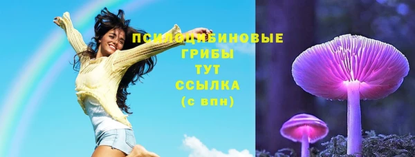 Альфа ПВП Дмитров