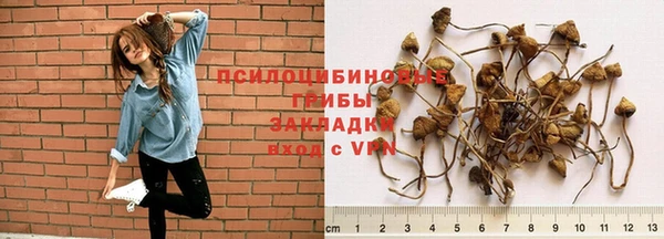 СК Дмитровск