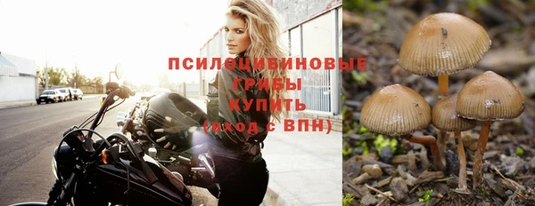 ALPHA-PVP Дмитриев
