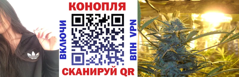 как найти закладки  Зея  Бошки Шишки Bruce Banner 